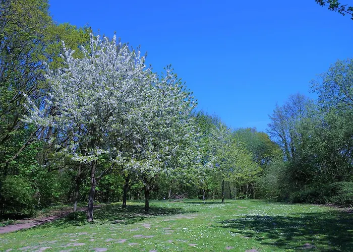 Panoramic App C03-7 Strandlage Apartamento *